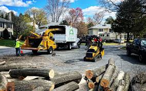 Best Pest Control for Lawns  in Lake Of The Pines, CA