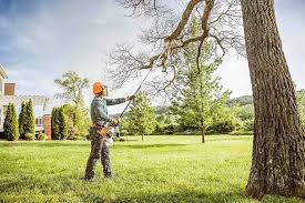Reliable Lake Of The Pines, CA Tree Care Solutions