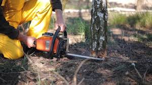 Best Weed Control  in Lake Of The Pines, CA