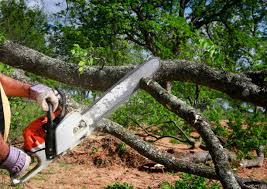 Best Leaf Removal  in Lake Of The Pines, CA